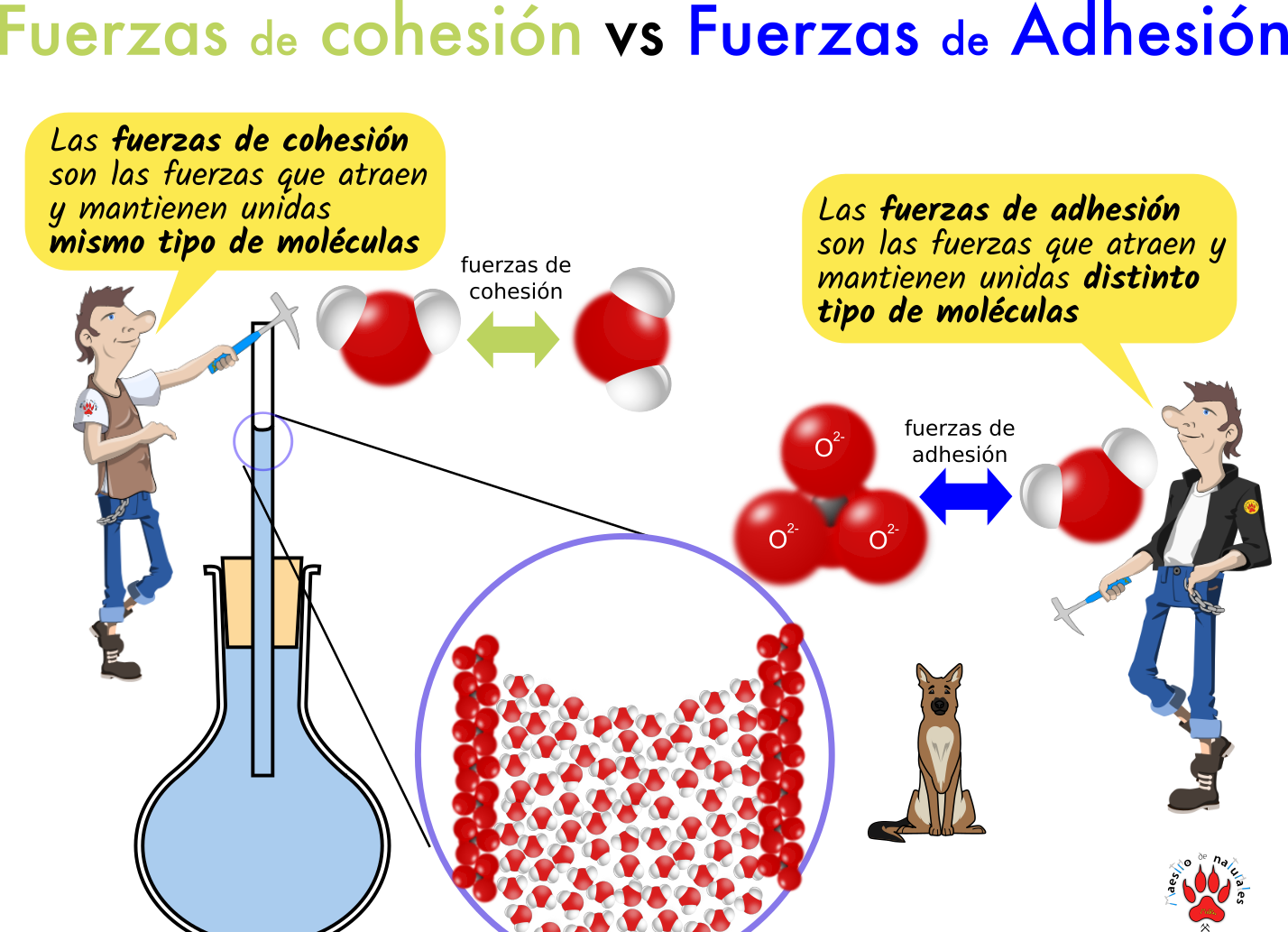 Tema 01.03 Biomoléculas inorgánicas